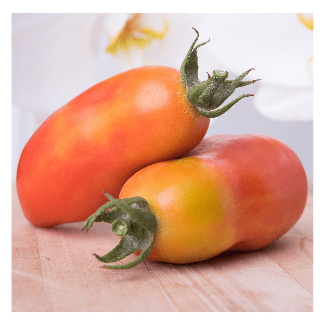 San Marzano Rasaduri
