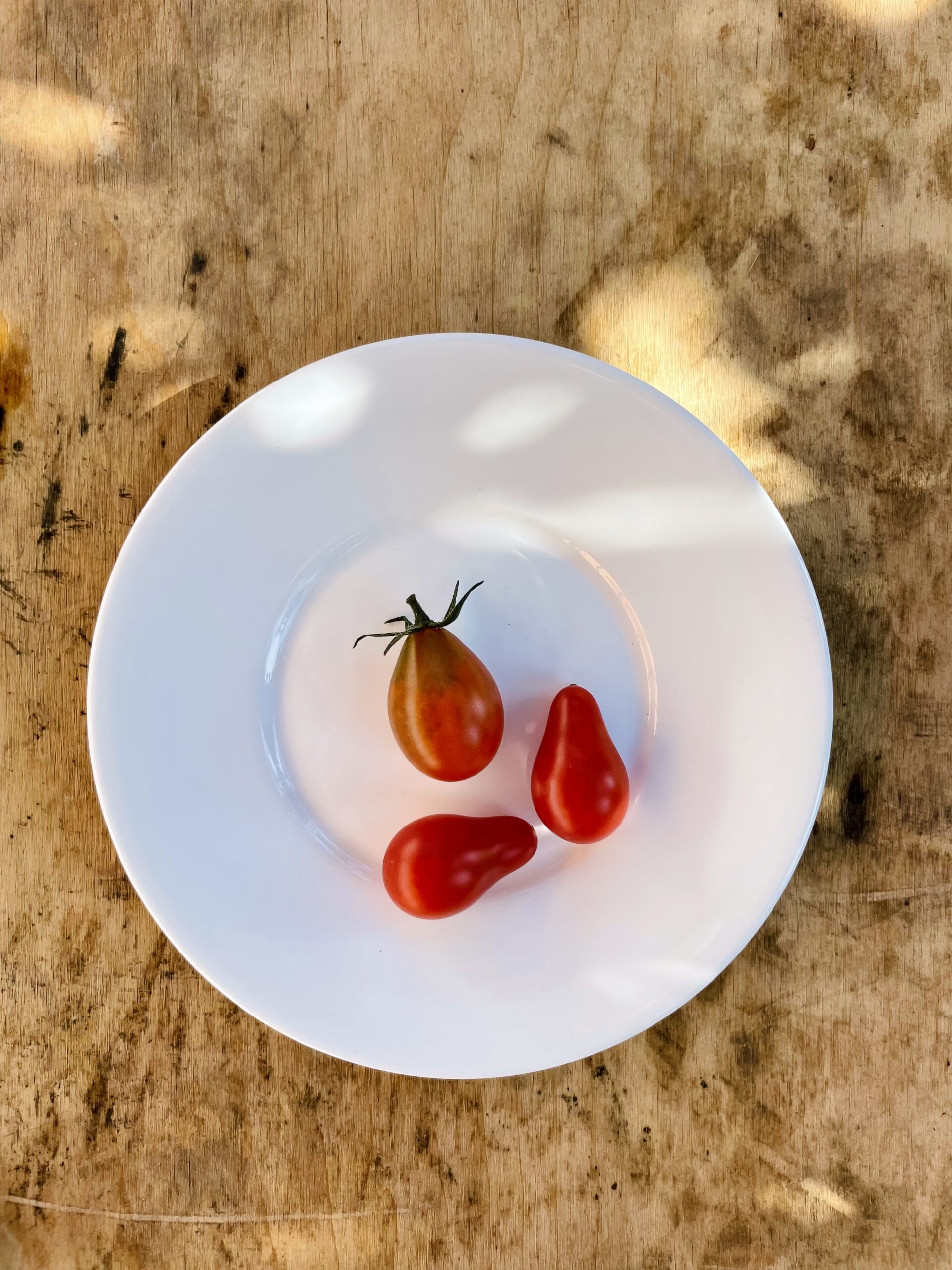 Red Pear Rasaduri